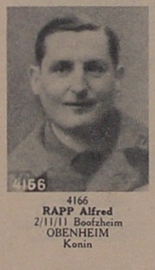 RAPP_Alfred.jpg