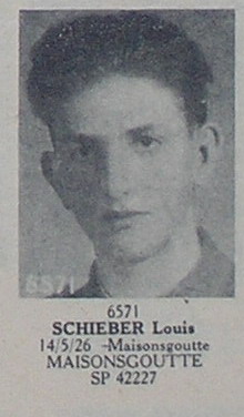 SCHIEBER_Louis.jpg