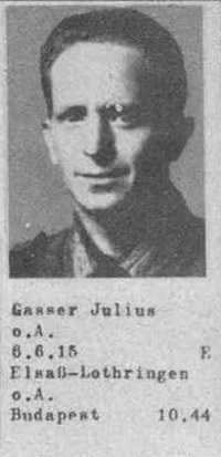 gasser_jules_drk.jpg